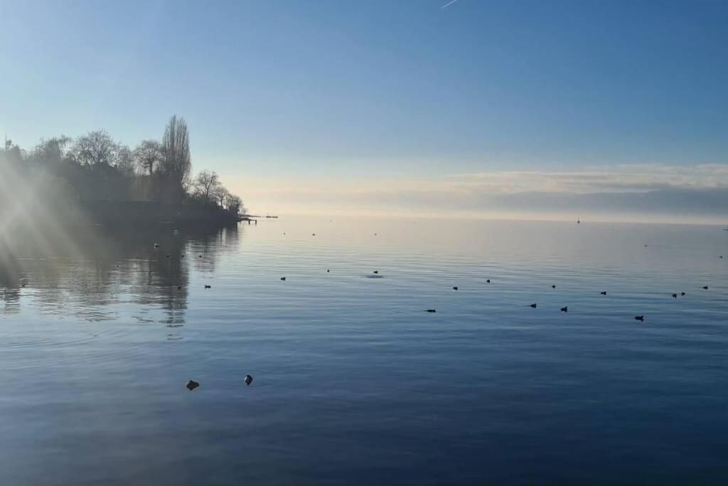 Le Duc Apartamento Thonon-les-Bains Exterior foto